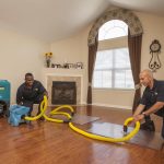 Reviving Spaces: Expert Water Damage Restoration Techniques