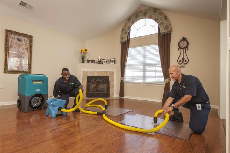 Reviving Spaces: Expert Water Damage Restoration Techniques