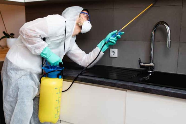 Safe Pest Control for Schools and Daycares