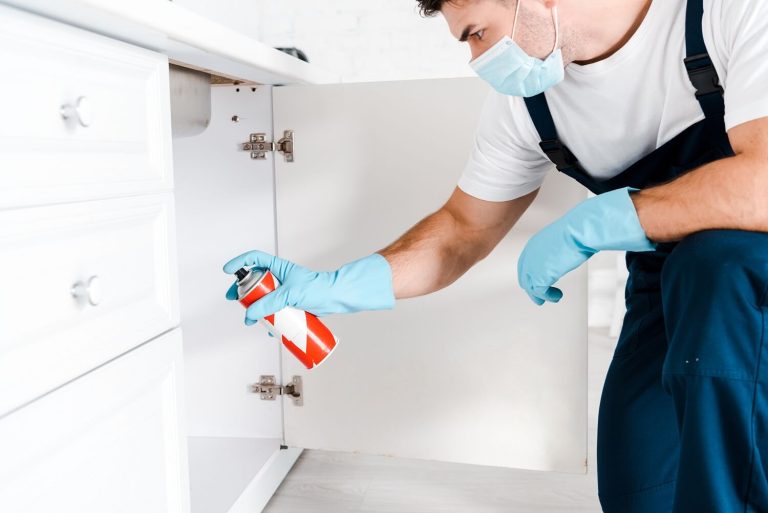 Pest Control Services: Your Trusted Partners in Pest Prevention and Eradication