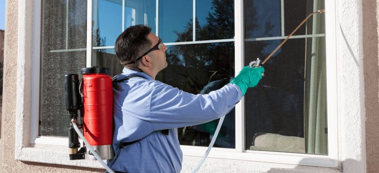 Sydney’s Trusted Partner for Customized Pest Control Solutions