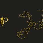 JDBYG Myanmar Casino Escapade: Your Journey to Riches