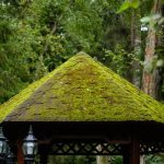 Pro Roofing Installation Near Me