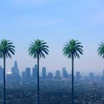 Westgate Resorts and Its Unique Vacation Packages Are They Worth It