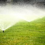 Discovering the Tranquil Beauty of Vereen Memorial Gardens